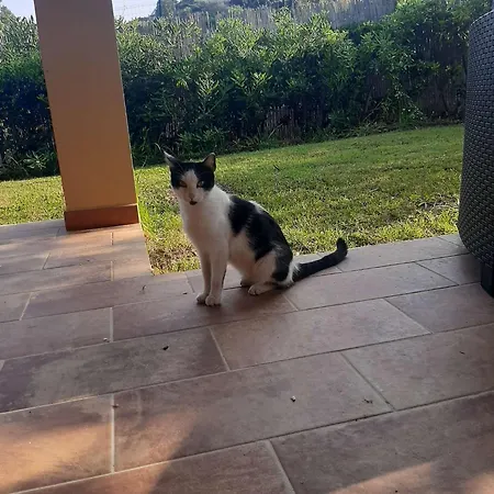 Tiziana *