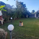 Tiziana