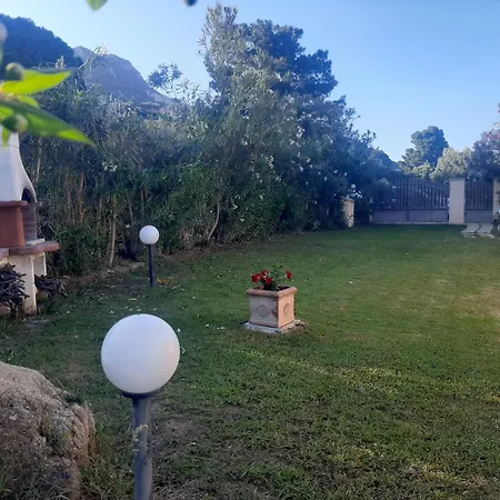 Tiziana