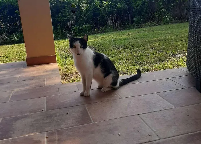 Tiziana *